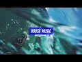Jay Hardway - Golden Pineapple ( House Mix )