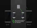 Push Notifications