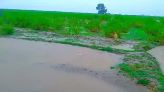 عشق التهامي بسبب هاذي الأجواى الخرافية لا باريس ولا لندن في جمال ورووعة بلادك تهامه بلادي الزرانيق 