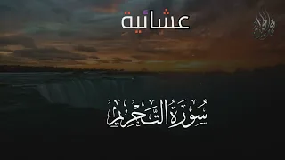 سورة التحريم   للقارئ الشيخ د  محمد اللحيدان دندنها
