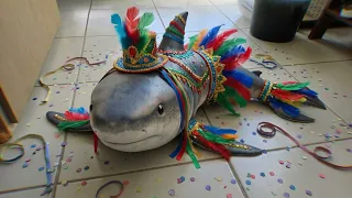 Carnaval do Tuba