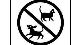 قوية ارتفاع الملعب الصوت الابتعاد الكلاب الفئران القطط 