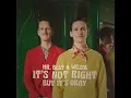 It's Not Right But It's Okay - Mr. Belt & Wezol