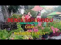 Download Lagu Lagu POp Nostalgia BENCI TAPI RINDU (Diana Nasution) Cover By-DONBERS FAMILY Channel  (DFC) Malaka