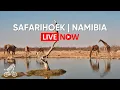 Lagu Safarihoek - Namibia | Live Wildlife Camera