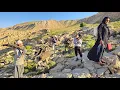 Download Lagu Nomadic life: Gathering firewood in the harsh days of Iran in the Zagros Mountains for nomad cooking