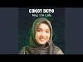 Download Lagu Cokot Boyo