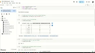 Customer Segmentation with K-Means in Google Colab Python Machine Learning Tutorial