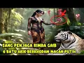 Download Lagu SANG PENJAGA DARI RIMBA GAIB‼️6 BATU AKIK BERKHODAM MACAN PUTIH?