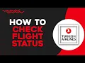 How To Check Flight Status on Turkish Airlines Quick Tutorial