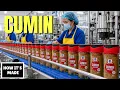 How Cumin Is Made - And Why It s the World s Most Used Spice