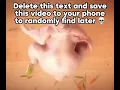 Dancing turkey meme