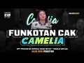 Download Lagu DJ FUNKOT CAMELIA (IRWANSYAH)// X SIMPATIK BASS HOREG