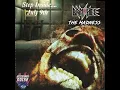 Download Lagu BANSHEE- Into The Breakdown