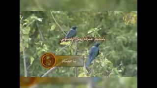 يا حمام منزله روس الغصوني دندنها