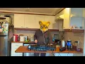 Kiwa Kitchen Sessions - Kiwa UKG DJ Set