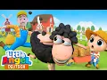 Download Lagu Mäĥ, mäh kleines schwarzes Schaf | Vorschulalter | Tierlieder | Little Angel Deutsch - Kinderlieder