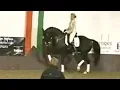 Download Lagu Anky van Grunsven / Sjef Janssen training Salinero