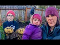 From Dirt to Dinner:  POTATO Harvest, Putting the Garden to Bed, and Hearty Moose Roast Finale