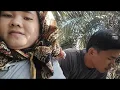 Download Lagu Ditinggal suami||terpaksa saya yang temanain