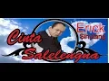 Download Lagu Erick Sihotang - Cinta Salelengna | Official Music Video