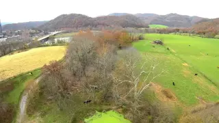 Glen Lyn farm southern part