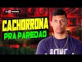 Download Lagu MC JACARÉ - CACHORRONA (VERSÃO BREGADEIRA) @rayanproduções