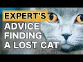 How to Make Your Missing Cat Poster Work Better