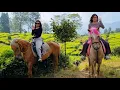 Download Lagu NAIK KUDA DIKEBUN TEH DAN CIMORY DAIRYLAND FARM PUNCAK BOGOR - LAGU NAIK DELMAN TERBARU DAN ABC SONG
