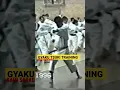 Gyaku tsuki training method by Kato Sadashige sesnei #karate #kata #shotokan