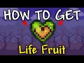 How to Get Life Fruit in Terraria 1 4 5 Life Fruit Terraria