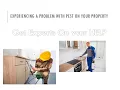 Ann Arbor Pest Control - Pest ControlService in Ann Arbor