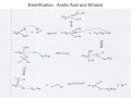 Week 11 - Isopentyl Acetate