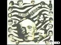 Rubber Zebra-Shadows