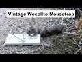 Download Lagu Vintage Wecolite muizenval uit 1979 met een unieke trekker. Muizenvalmaandag.
