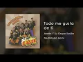 Aarón Y Su Grupo Ilusión   Todo Me Gusta De Ti Audio