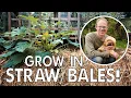 Kickstart a Weed-Free Straw Bale Garden