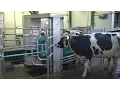 Download Lagu Eerste GEA Monobox in Nederland - www.melkvee.nl