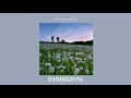 Download Lagu Dandelions - Ruth B. || 𝐬𝐥𝐨𝐰𝐞𝐝 + 𝐦𝐮𝐟𝐟𝐥𝐞𝐝 𝐯𝐞𝐫. ✨