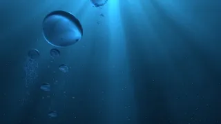 Underwater Stock Footage Free اعماق البحر للمونتاج مشاهد مونتاج جديدة قاع البحر 