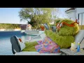 H-E-B Astros Pena s Campaign