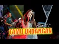 Download Lagu TAMU UNDANGAN - DINDA TERATU | STS MANAGEMENT (OFFICIAL LIVE MUSIC)