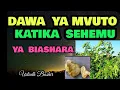 Download Lagu DAWA  YA  KUVUTA  WATEJA  KATIKA  SEHEMU  YA BIASHARA  YAKO.
