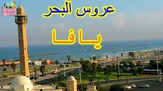 عروس البحر الدرس الحادي عشر للصف الثالث 