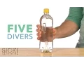 Five Divers - Sick Science