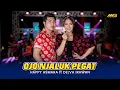 Download Lagu HAPPY ASMARA FT DELVA IRAWAN - OJO NJALUK PEGAT Ft.BINTANG FORTUNA ( Official Music Video )