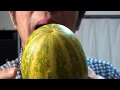Video di Papaya Melon Ocarina