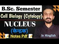 Nucleus Structure And Function Cell Biology Bsc Semester By Dadhich Sir