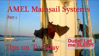 Part 1 – Rebuilding the In-mast furling system on Aquarius –  We found a bat hiding out in the mast