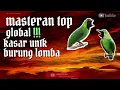 Download Lagu MASTERAN TOP GLOBAL‼️MASTERAN Kasar Untuk Burung LOMBA - Burung Dengan MATERI kasar DAN RAPAT